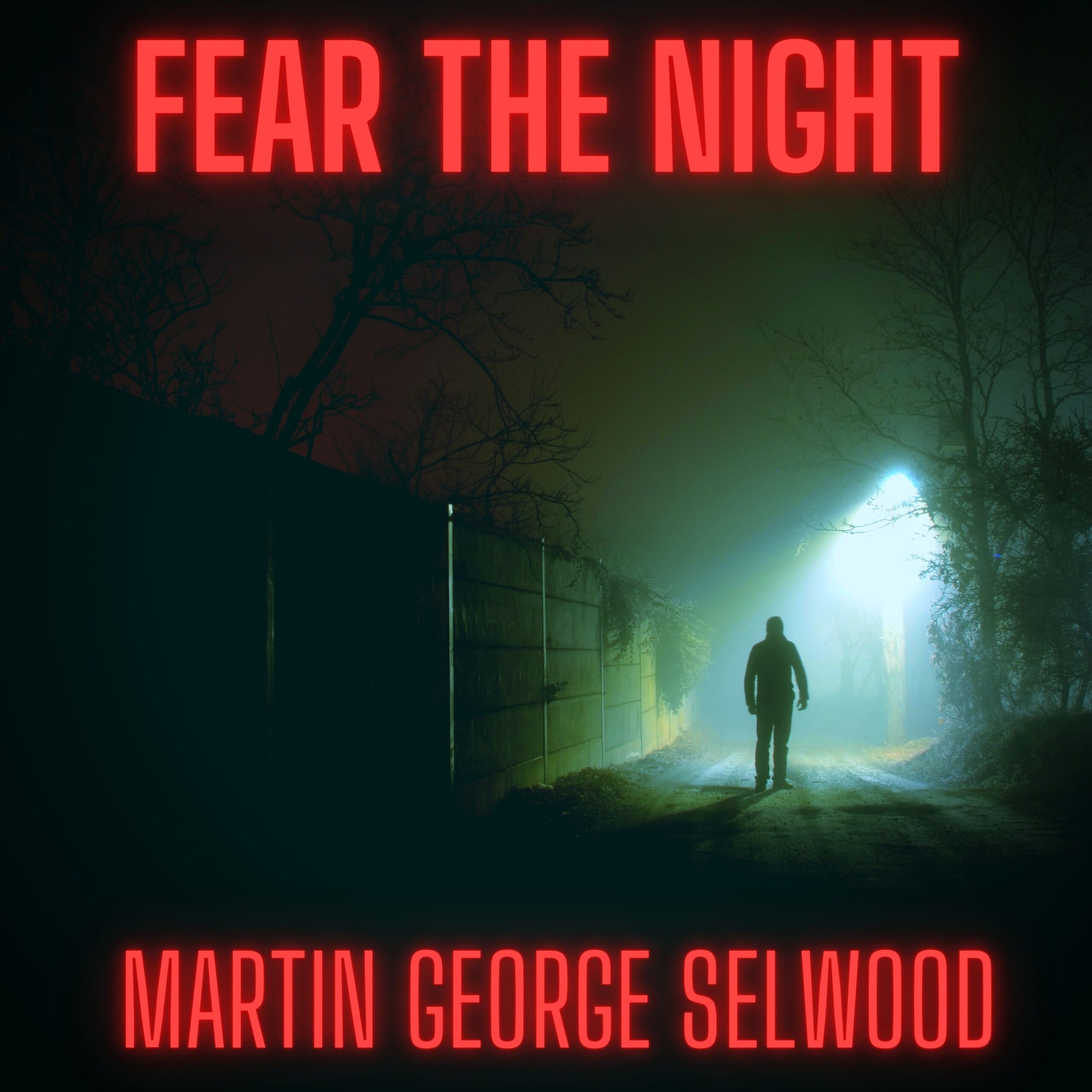 Fear The Night album cover by Martin George Selwood