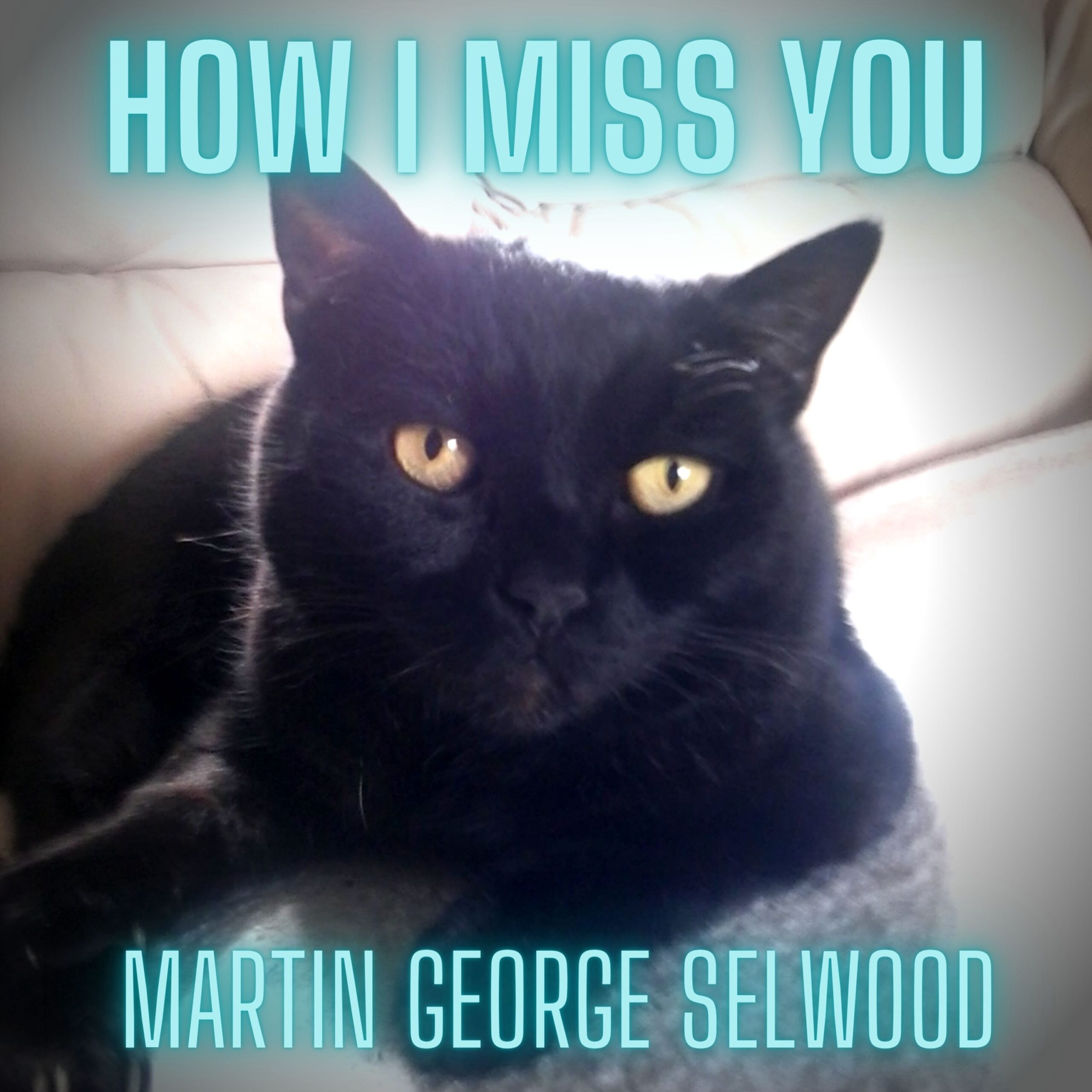 How I Miss You single cover by Martin George Selwood